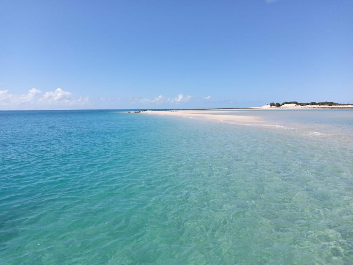 Dolphin Dhow Beach Safaris 维兰库卢什 外观 照片