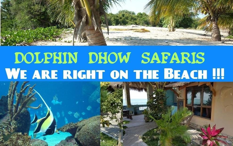 Dolphin Dhow Beach Safaris 维兰库卢什 外观 照片