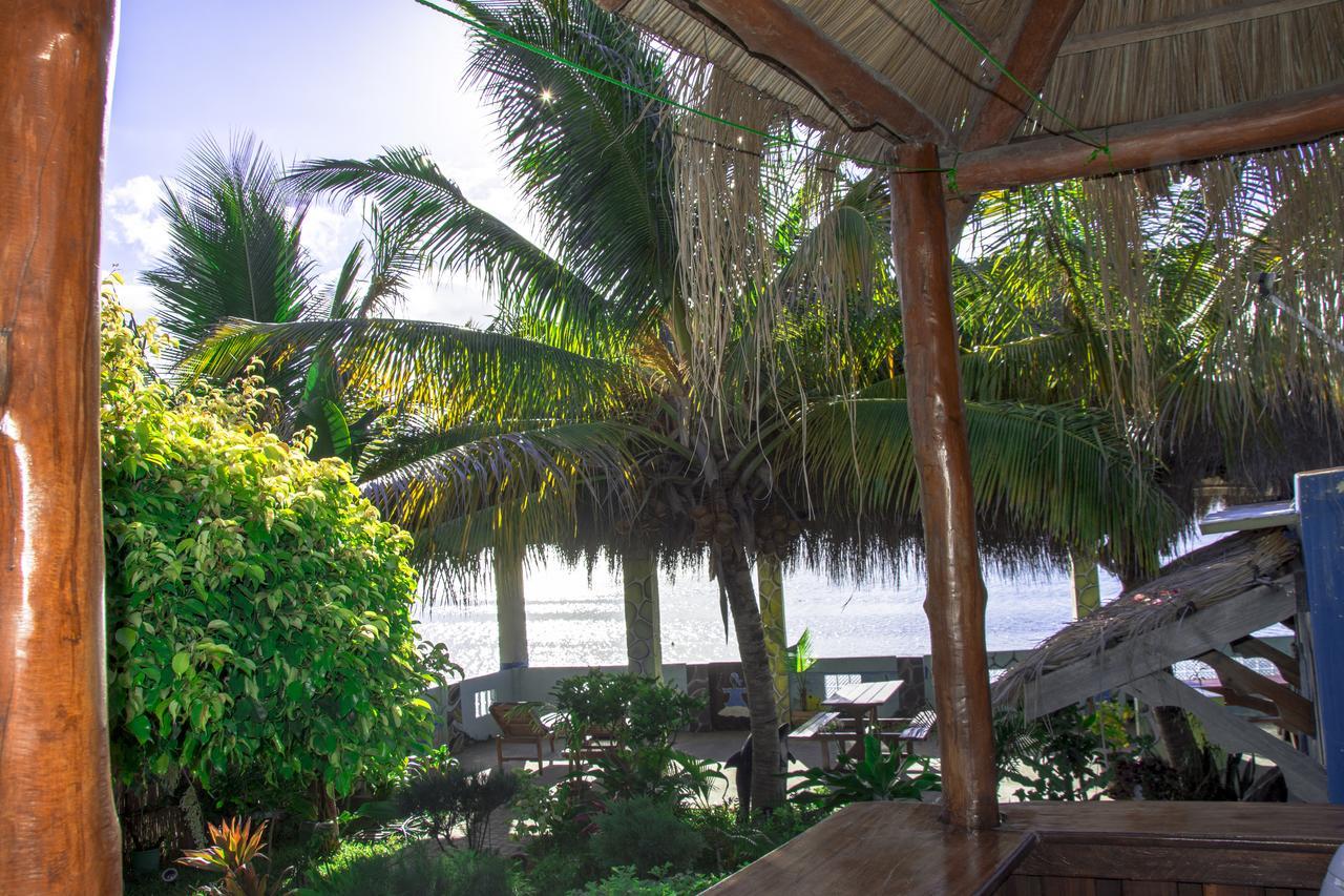 Dolphin Dhow Beach Safaris 维兰库卢什 外观 照片