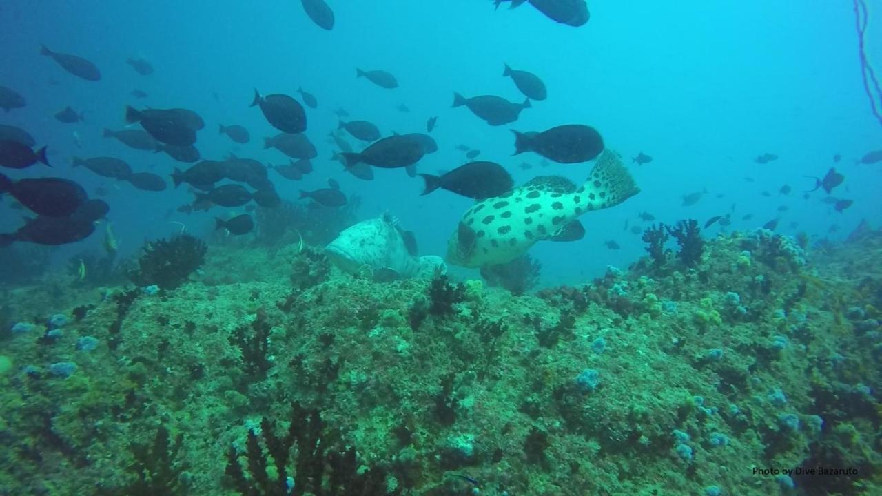 Dolphin Dhow Beach Safaris 维兰库卢什 外观 照片
