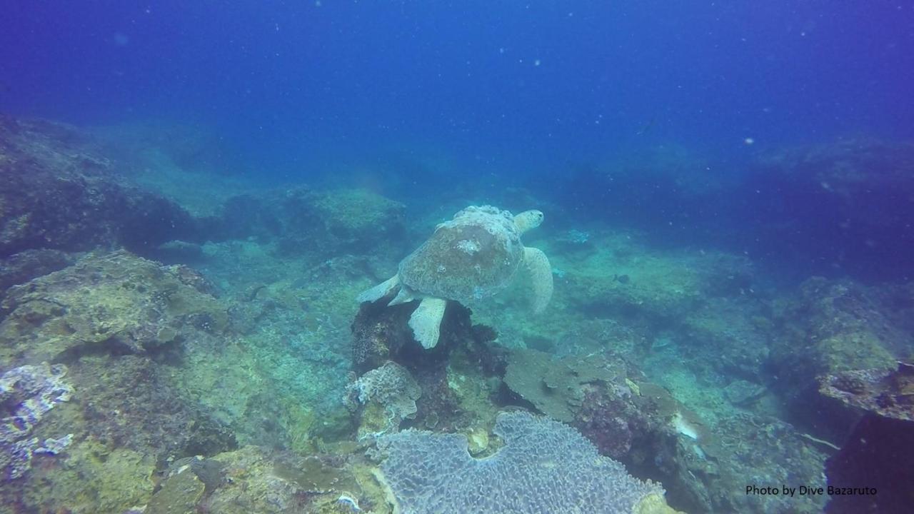 Dolphin Dhow Beach Safaris 维兰库卢什 外观 照片